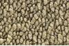 19 Fawn Sandalwood