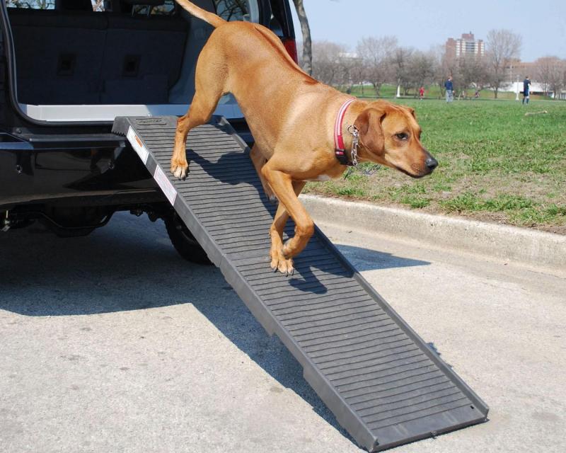 weathertech pet ramp reviews